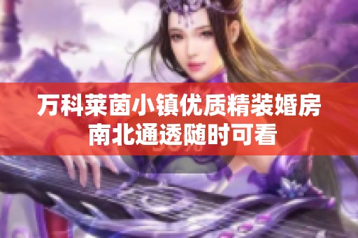 万科莱茵小镇优质精装婚房 南北通透随时可看