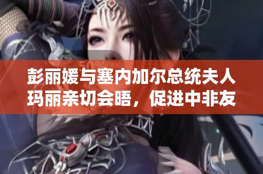 彭丽媛与塞内加尔总统夫人玛丽亲切会晤，促进中非友谊发展