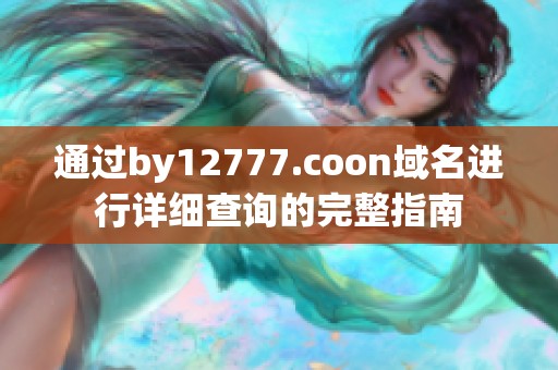 通过by12777.coon域名进行详细查询的完整指南