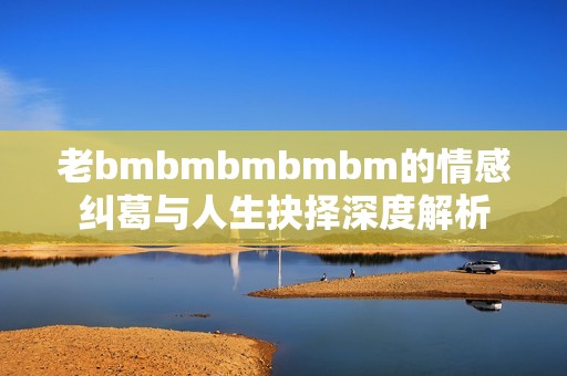 老bmbmbmbmbm的情感纠葛与人生抉择深度解析