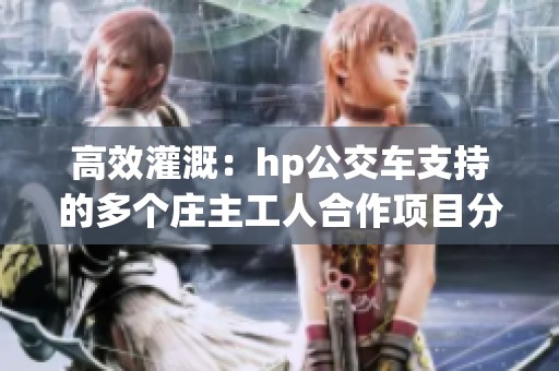 高效灌溉：hp公交车支持的多个庄主工人合作项目分析