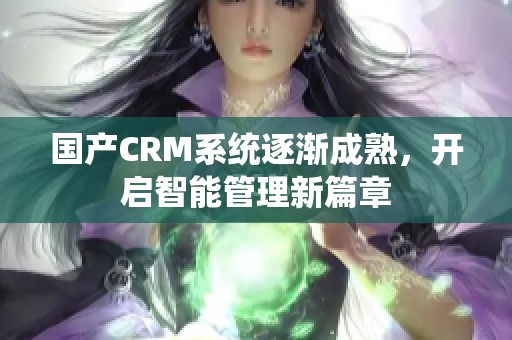 国产CRM系统逐渐成熟，开启智能管理新篇章