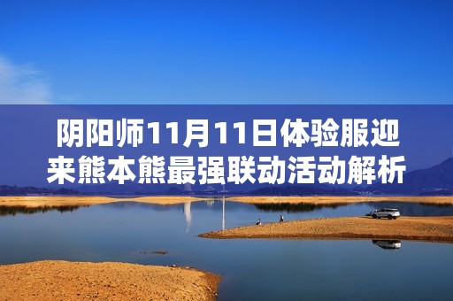 阴阳师11月11日体验服迎来熊本熊最强联动活动解析