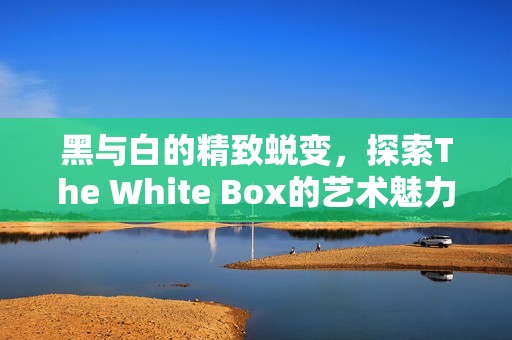 黑与白的精致蜕变，探索The White Box的艺术魅力