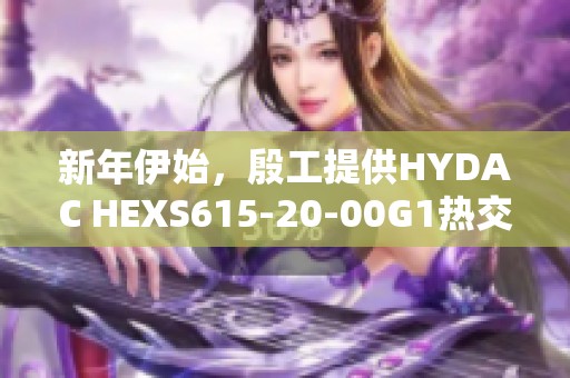 新年伊始，殷工提供HYDAC HEXS615-20-00G1热交换器优惠报价