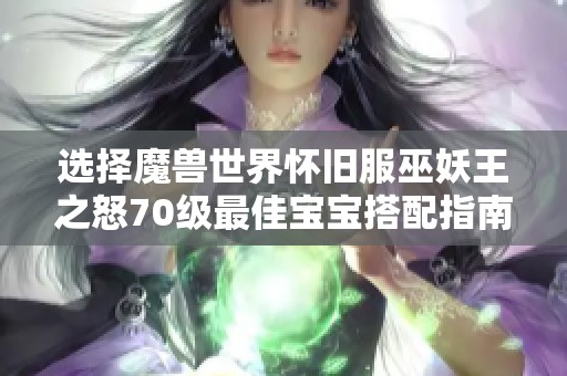 选择魔兽世界怀旧服巫妖王之怒70级最佳宝宝搭配指南