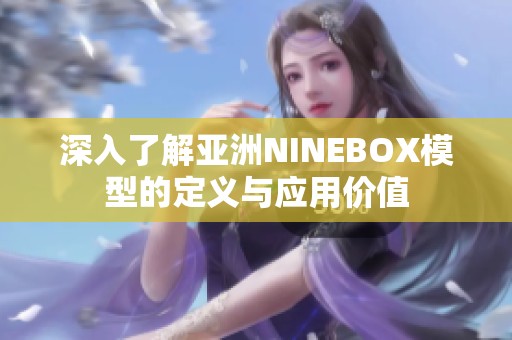 深入了解亚洲NINEBOX模型的定义与应用价值