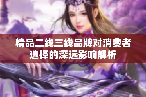 精品二线三线品牌对消费者选择的深远影响解析