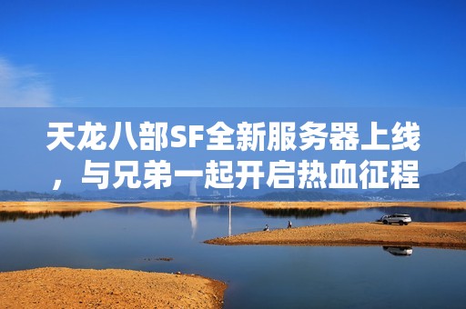 天龙八部SF全新服务器上线，与兄弟一起开启热血征程！