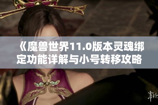 《魔兽世界11.0版本灵魂绑定功能详解与小号转移攻略》