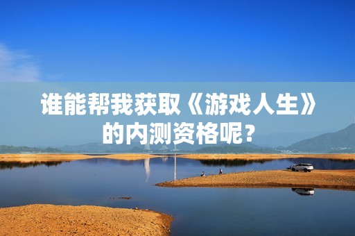 谁能帮我获取《游戏人生》的内测资格呢？