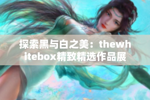 探索黑与白之美：thewhitebox精致精选作品展