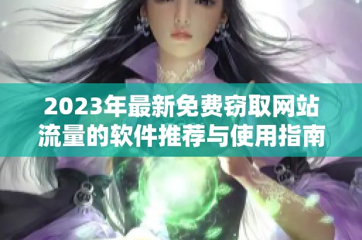 2023年最新免费窃取网站流量的软件推荐与使用指南