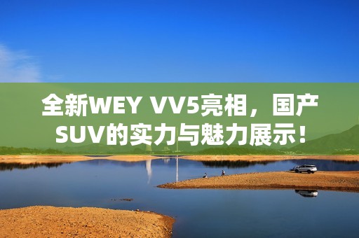 全新WEY VV5亮相，国产SUV的实力与魅力展示！