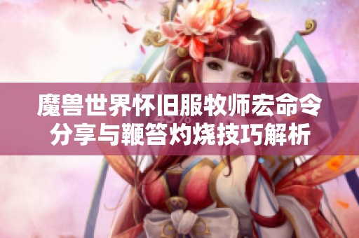 魔兽世界怀旧服牧师宏命令分享与鞭笞灼烧技巧解析