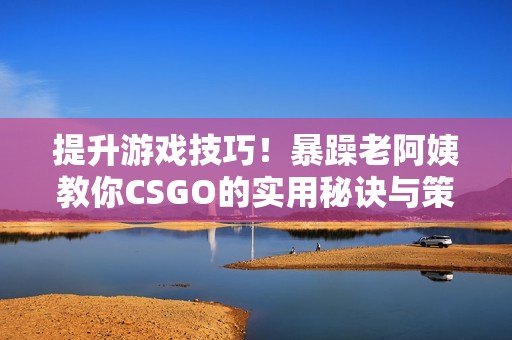 提升游戏技巧！暴躁老阿姨教你CSGO的实用秘诀与策略