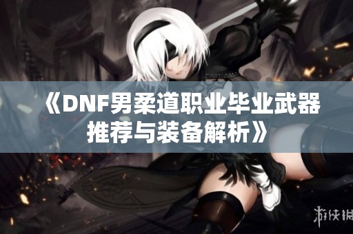 《DNF男柔道职业毕业武器推荐与装备解析》