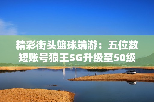 精彩街头篮球端游：五位数短账号狼王SG升级至50级攻略分享