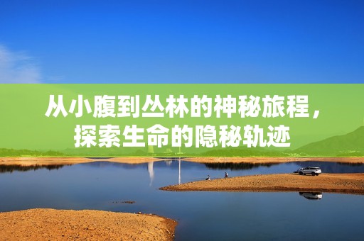 从小腹到丛林的神秘旅程，探索生命的隐秘轨迹