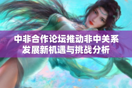 中非合作论坛推动非中关系发展新机遇与挑战分析