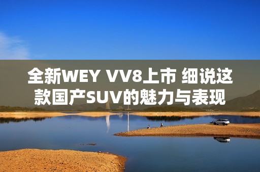 全新WEY VV8上市 细说这款国产SUV的魅力与表现