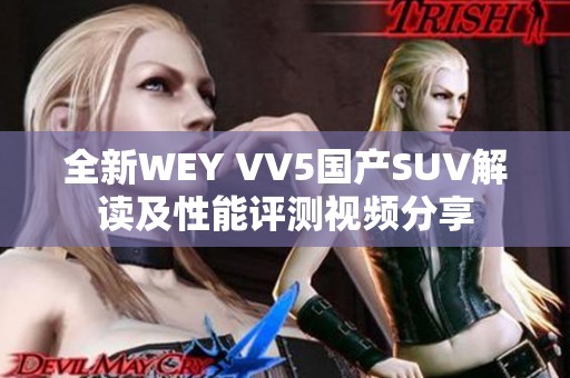 全新WEY VV5国产SUV解读及性能评测视频分享