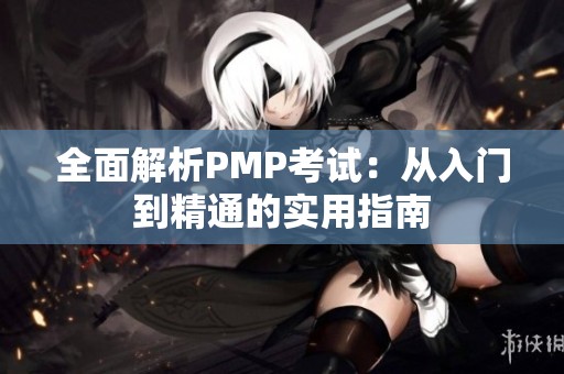 全面解析PMP考试：从入门到精通的实用指南